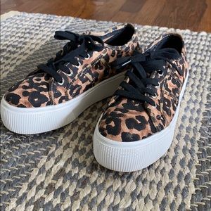 Steve Madden Cheetah Platform Sneakers